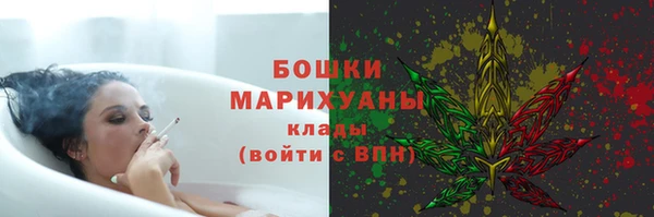 крисы Козловка
