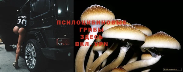 Альфа ПВП Козельск
