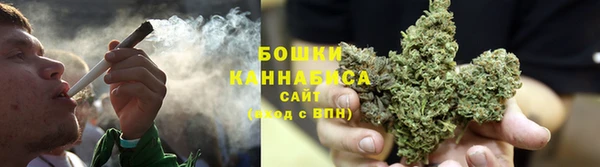 ГАЛЛЮЦИНОГЕННЫЕ ГРИБЫ Кодинск