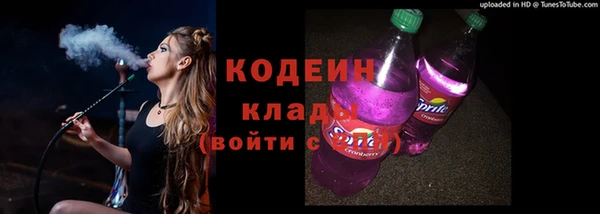 крисы Козловка