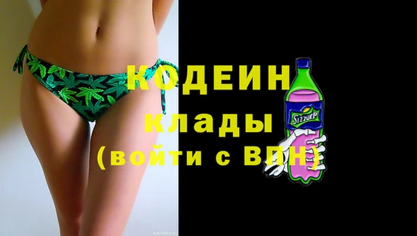 ГАЛЛЮЦИНОГЕННЫЕ ГРИБЫ Кодинск