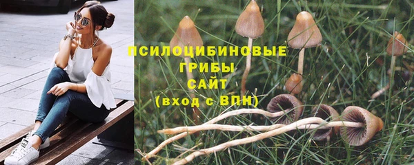 ГАЛЛЮЦИНОГЕННЫЕ ГРИБЫ Кодинск