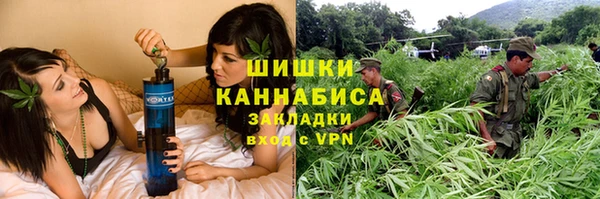 крисы Козловка