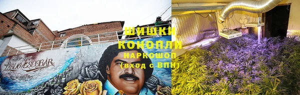 ГАЛЛЮЦИНОГЕННЫЕ ГРИБЫ Кодинск