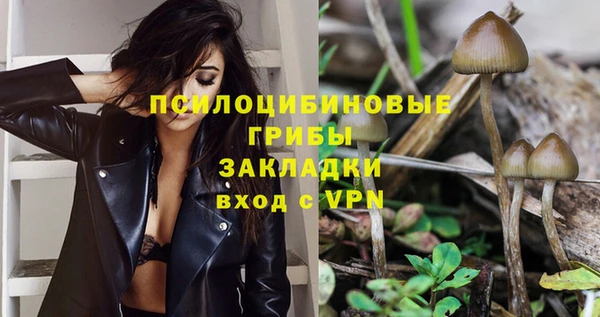 ГАЛЛЮЦИНОГЕННЫЕ ГРИБЫ Кодинск