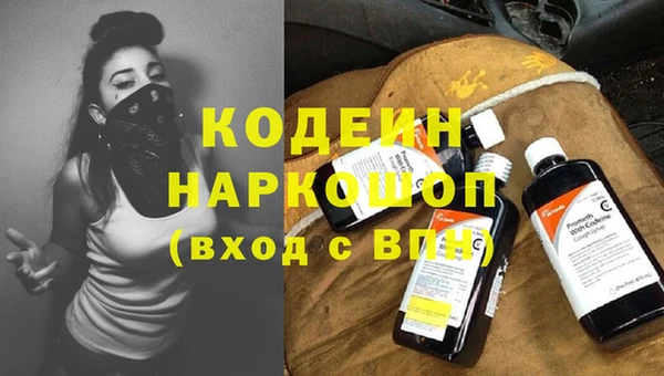 крисы Козловка
