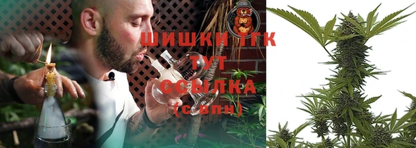 крисы Козловка