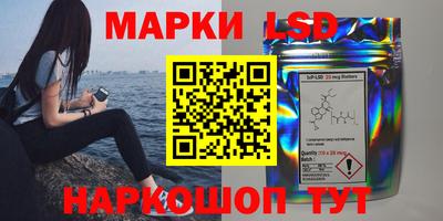 шишки Сланцы