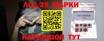 шишки Сланцы