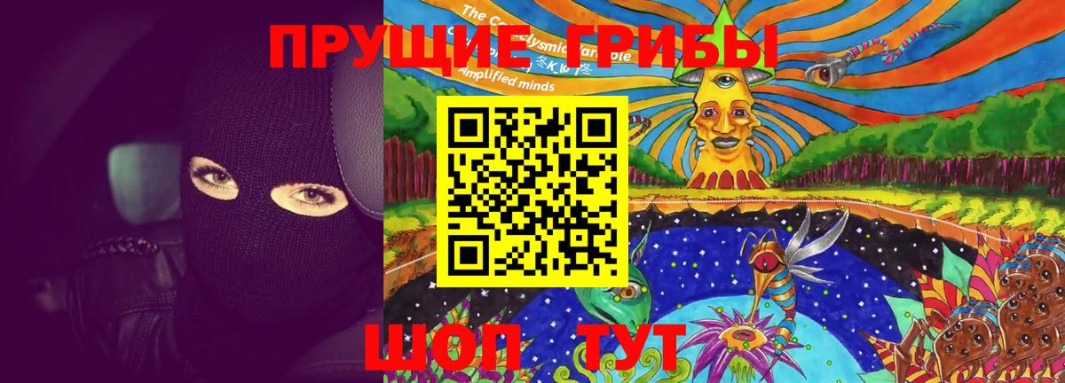 Темрюк  Псилоцибиновые грибы Cubensis  Вход с VPN 